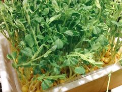 -潮牛海记•潮汕牛肉火锅•醉鸡煲•粿条汤(通北路店)