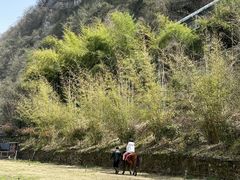 -仙岛湖旅游风景区