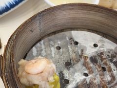 -馨越楼·点心·粤菜(赤坎店)