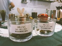 -柴务处·柴犬主题狗咖