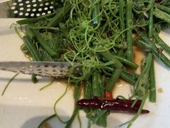 -三强鸽子(胜利路店)