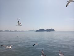 -海驴岛(荣成市)