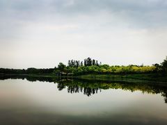 -东郊湿地公园