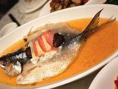 -金美华轩(东方路齐鲁店)
