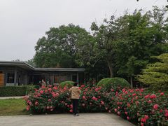 -南长河公园