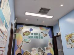 -瑞派·关忠动物医院·异宠专科·犬猫肿瘤·皮肤专科(望京店)