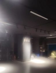 -DNA舞室