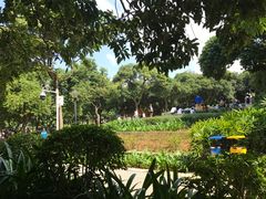 -天河儿童公园