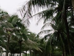 -白沙门生态公园