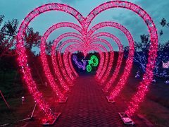 -上海海湾国家森林公园