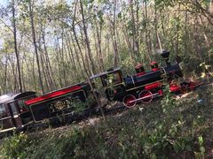 -合肥滨湖国家森林公园