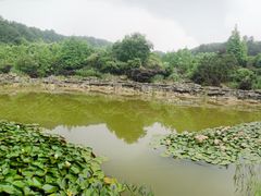 -铁山坪森林公园