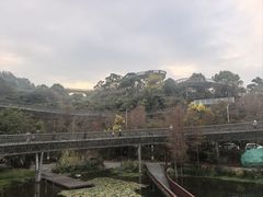 -福道