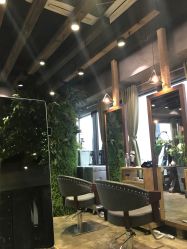 -V-STAR威斯达•高级私人定制