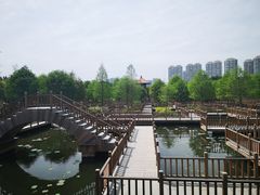 -五缘湾湿地公园