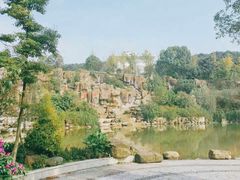 -铁山坪森林公园