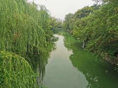 景观位-太湖饭店玉兰厅(自助餐厅)