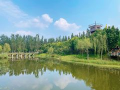-东郊湿地公园