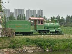 -长田漾湿地公园