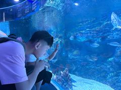 -海合安成都极地海洋公园
