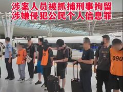 -上海诚本律师事务所·刑事辩护团队