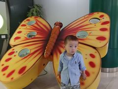 -上海昆虫博物馆