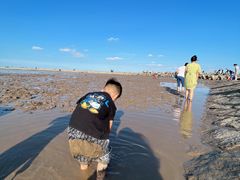 -南汇嘴观海公园