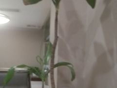 -盐帮食坊•小河帮川菜(四川师大店)