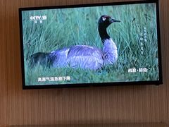 -维也纳酒店(南京奥体中心店)
