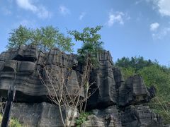 -梭布垭石林景区