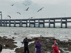 -黑石礁公园