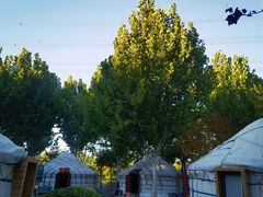 -九十九顶毡房(阜石路店)