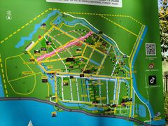 -合肥滨湖国家森林公园