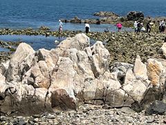 -养马岛旅游度假区