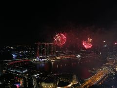 -新加坡瑞士史丹福酒店