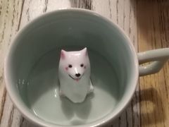-猫的天空之城概念书店(苏州平江店)