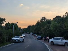 -敬亭山风景名胜区