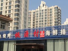 -桃源村铁锅炖鱼(体育馆道店)