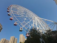 -弘阳·未来世界(弘阳广场店)