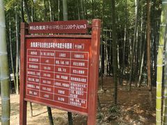 -树山生态村