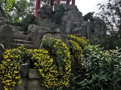 -莲湖公园