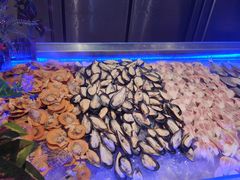 -非烤勿扰自助烤肉海鲜火锅(南城莱蒙店)