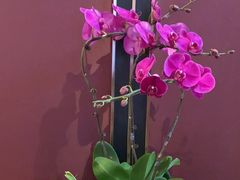 -丰收日(杨浦公园店)