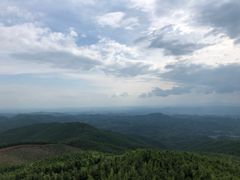 -蔡伦竹海