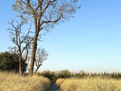 -汉长安城未央宫国家考古遗址公园