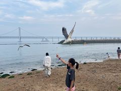 -星海广场