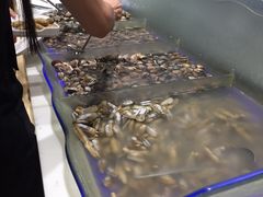 -银鲨海鲜烤肉火锅自助餐厅(五星店)