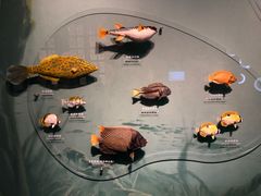 -中国湿地博物馆