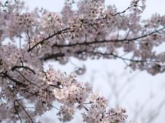 -龙美术馆(西岸馆)