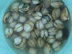-启东黄金海滩景区